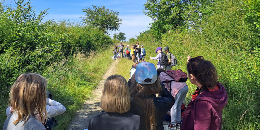 Observation de la pie-grièche écorcheur dans les haies du plateau de Bellefonds © Marion Chargé